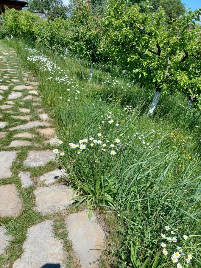 Pensiunea Agroturistica Casa Jucan Poieni Экстерьер фото